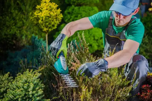 landscaping services Geneva-on-the-Lake